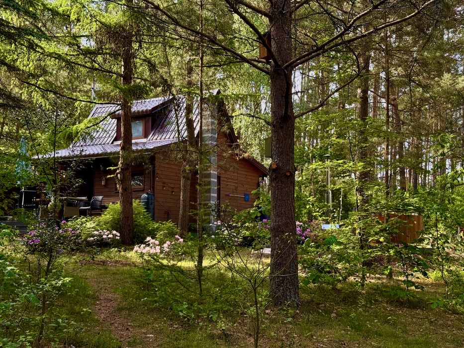Domek na Kaszubach WOLNE , SAUNA, BALIA , LAS .