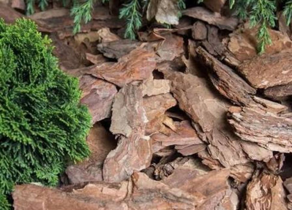 Грунт (додатки) для рослин