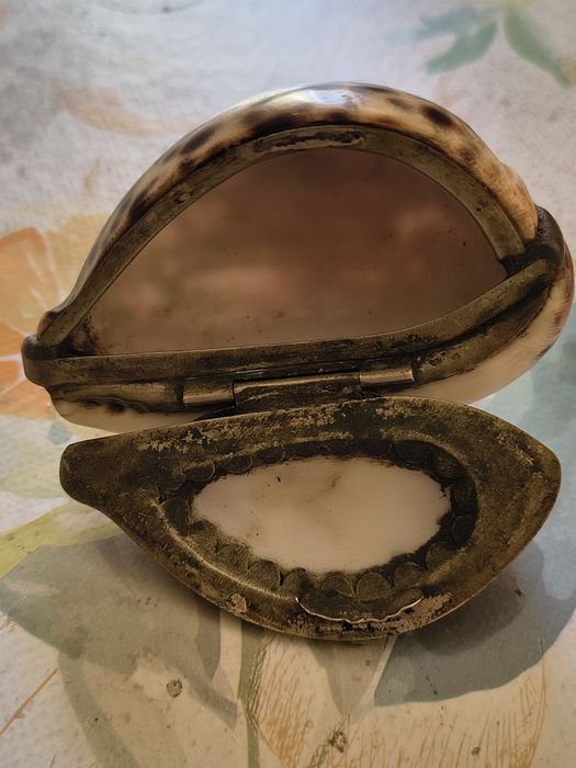 Gottlieb Witulsky Muszla porcelanka