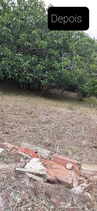 Serviços jardinagem