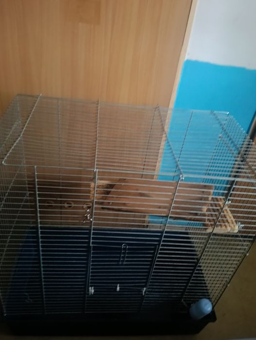 Duża klatka z półeczkami