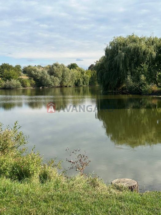 Затишний будинок біля Хмельницького