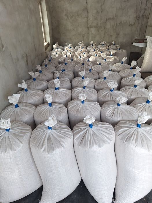 Нова Канадська соя ВІНОНА[SB 311-101] 1-А РЕПРОДУК. Відправка НП!