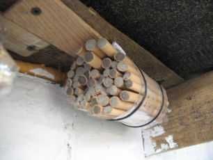 Пчёлы осмии, ранневесенние опылители