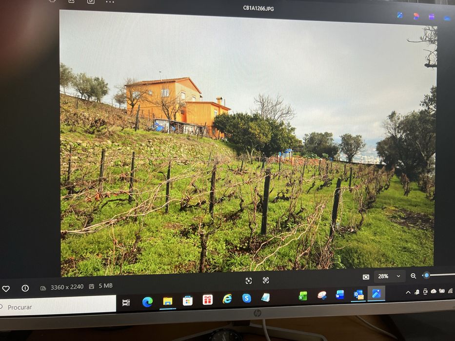 Pequena quinta para venda. Mais informacoes por contacto