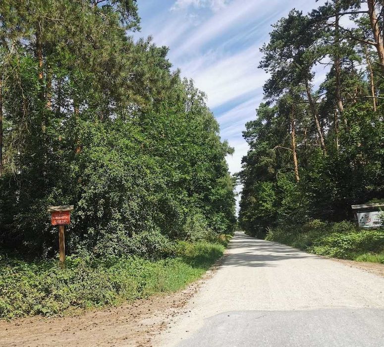 Ławiczno Dwór i Las - Debówiec działka budowlana - View 6