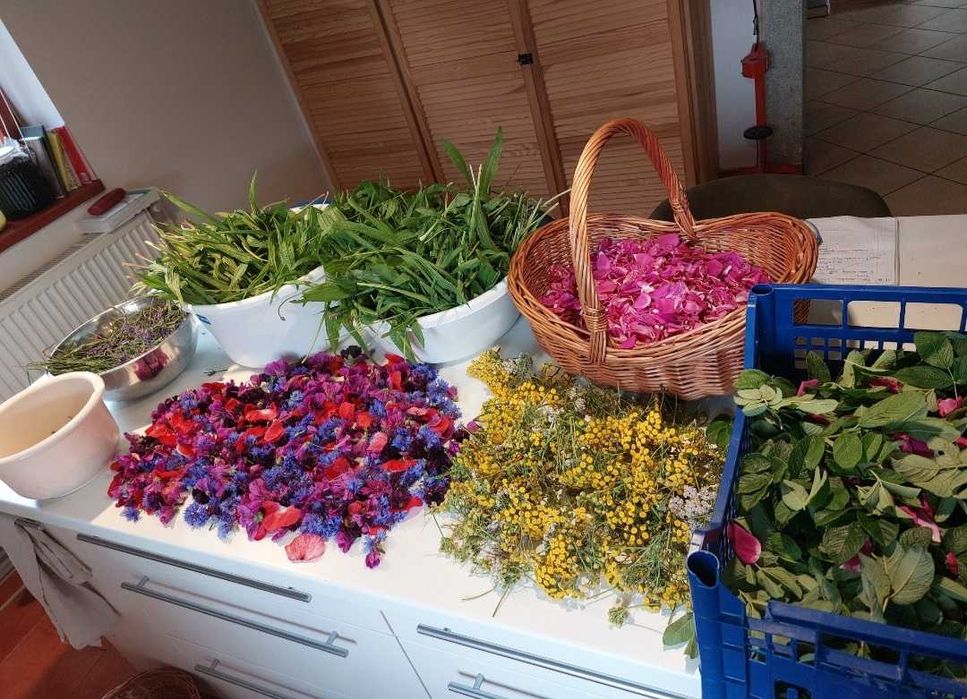 Herbata Poprawa trawienia 50gr Beskidzkie zioła