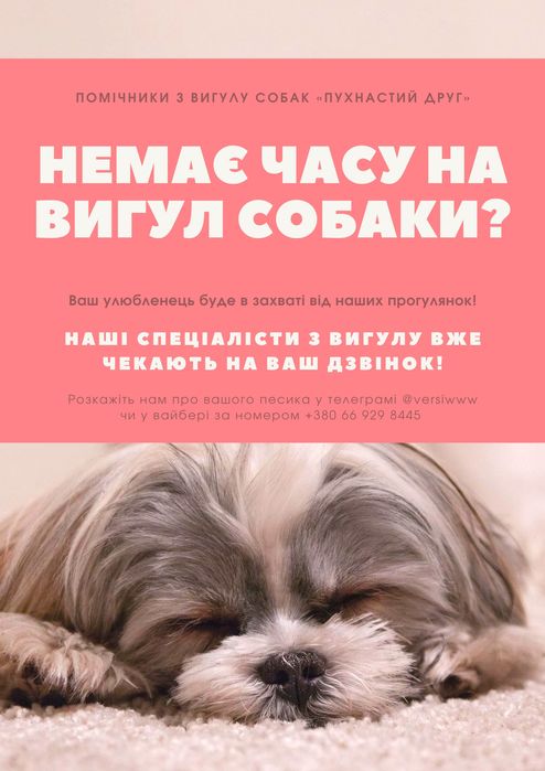 Вигул собак та котів