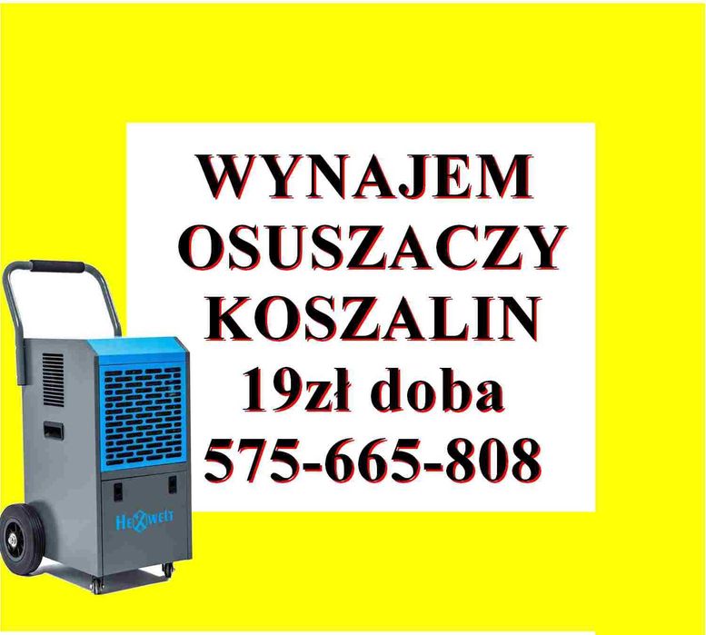 Wynajem osuszaczy autonomicznych Koszalin dowóz pomiary wilgoci gratis