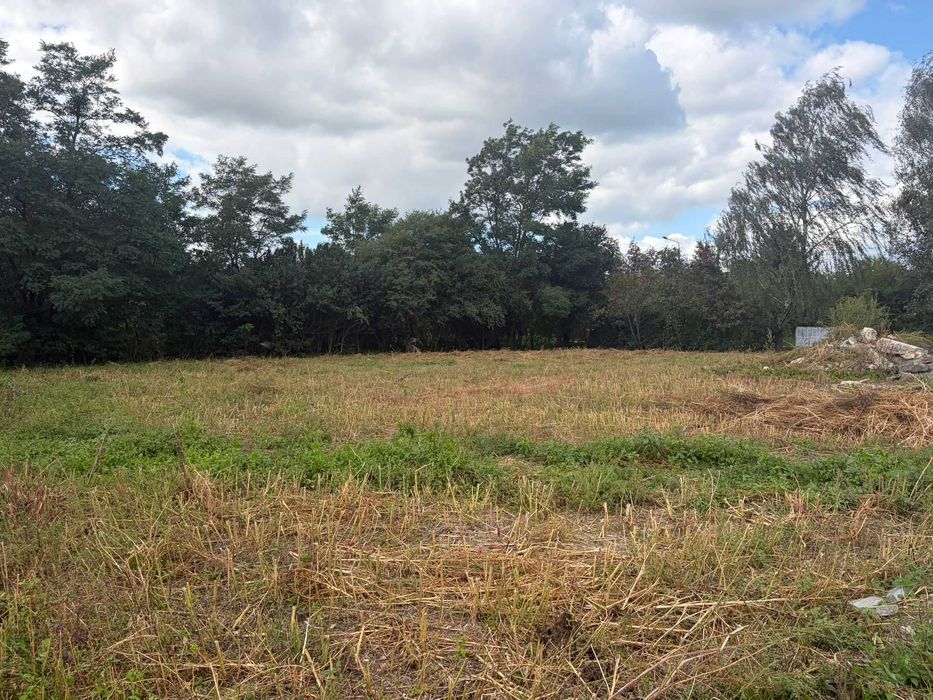 Działka budowlana 1617 m² Bieniewo-wieś, 37km od Warszawy - Widok 3