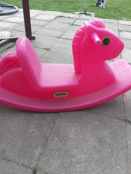 Konik na biegunach/ bujak