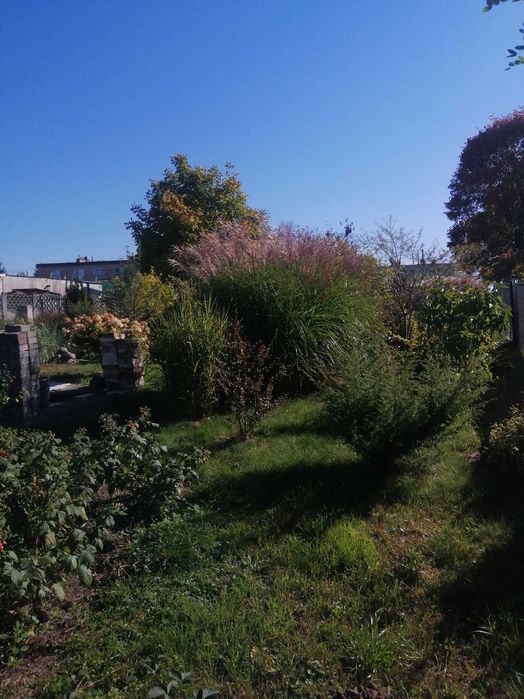 Mieszkanie – Cieślin, powiat sierpecki - Więcej