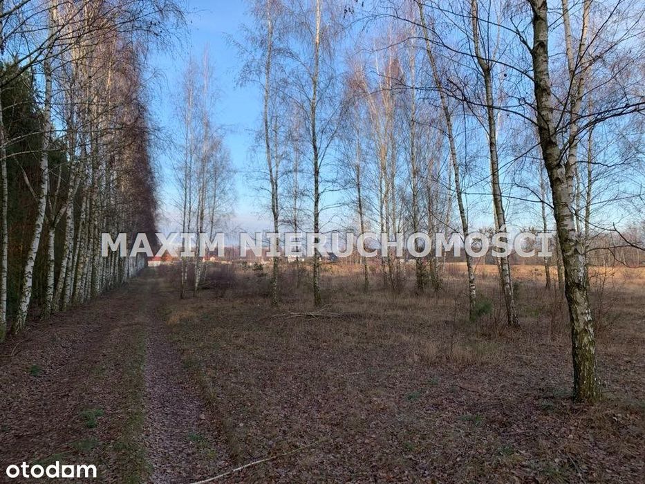 Działki z Wz w Latonicach gm Nowe Miasto - Widok 5