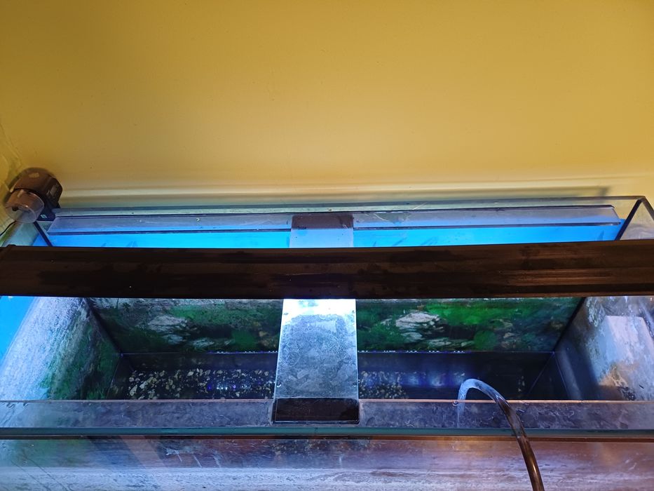 Akwarium z lampą led