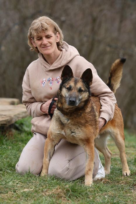 Do adopcji samiec ok 9lat