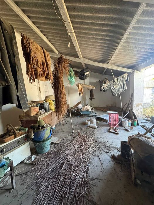 Preço Revisto | Moradia Rústica T3 com jardim, garagem e anexo