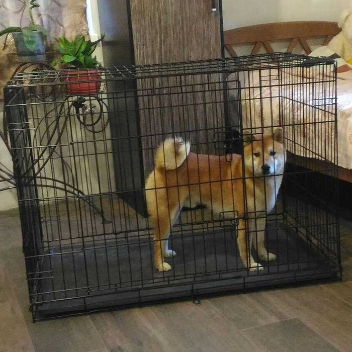 Нові клетка S-XXL переноска место дом будка для собак кошки на вирост