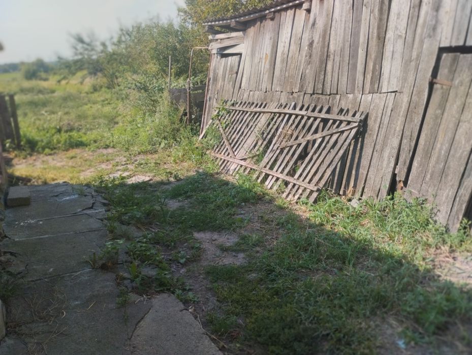 Продам будинок, садибу.