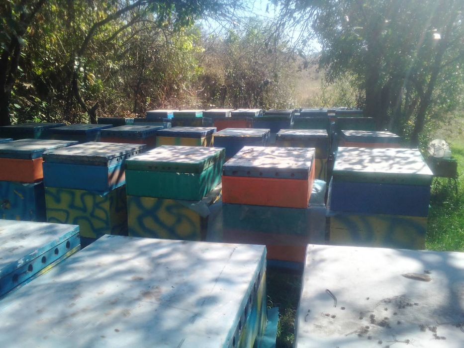 Продам улья  из ДВП и пенопласта.