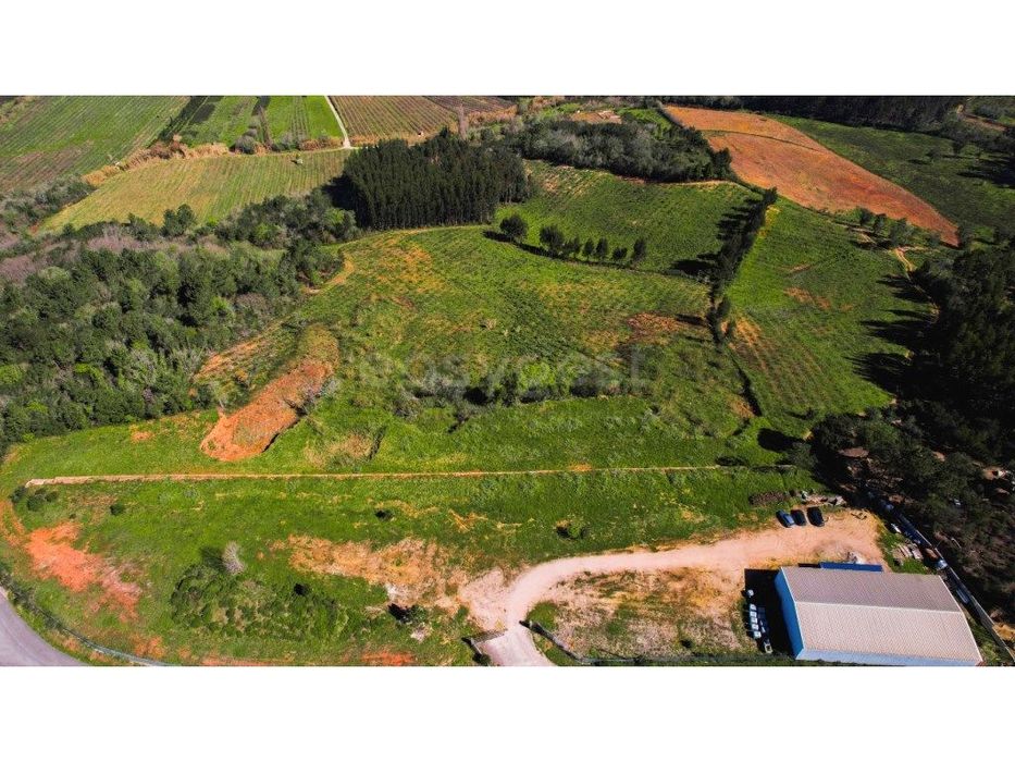 Terreno com 130000m2 destinado à agricultura no Alto da Maiorga