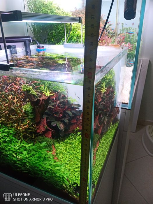 Móvel e aquário 35x35x30, completo