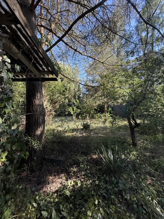 ROD Sahara , 400mk , Witow kolonia