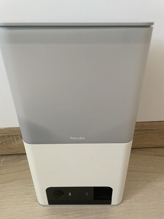 petcube камера для собак