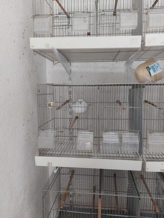 Gaiolas de criação