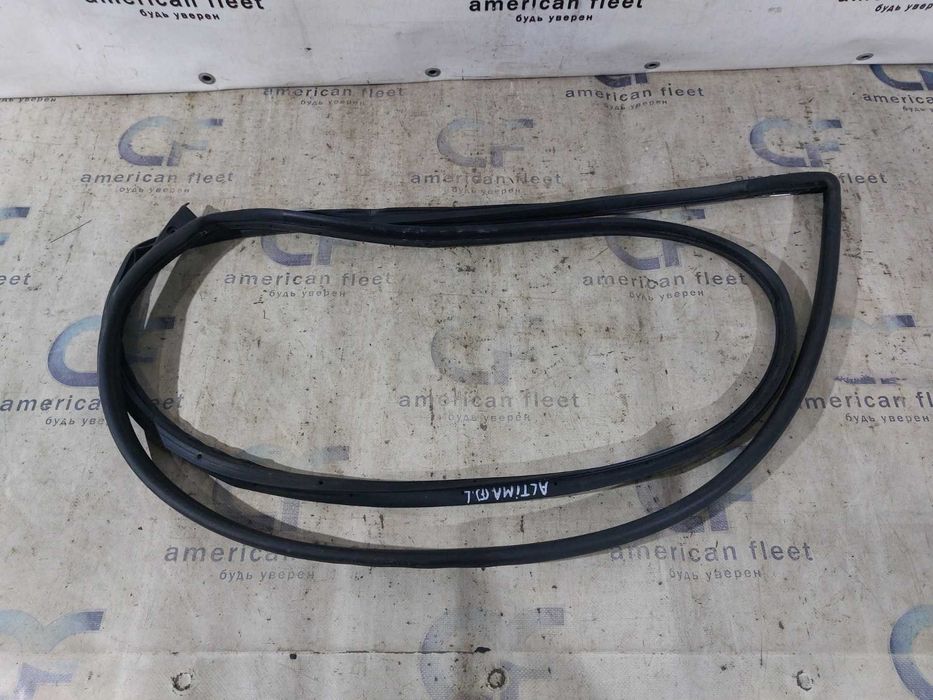 Nissan Altima 13-18 Уплотнитель двери передний / задний левый