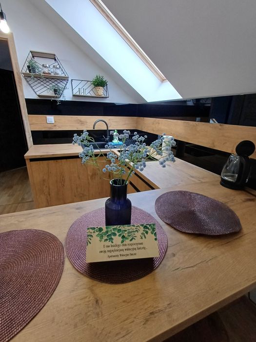 Apartament w górach SAUNA JACUZZI,  ferie, stoki narciarskie