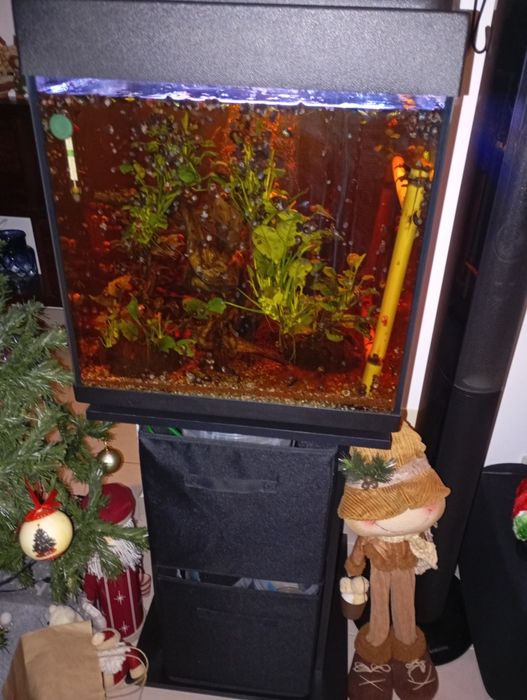 Aquario 45x45x50 com móvel