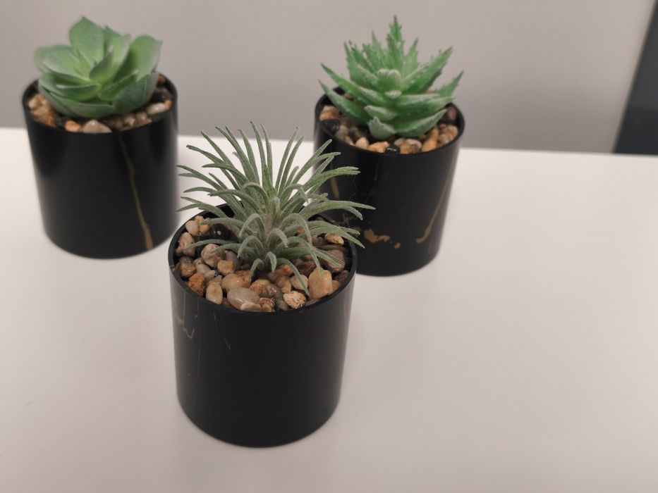 Conjunto de 3 Pequenos Cactos - Decoração Premium Preto / / Dourado