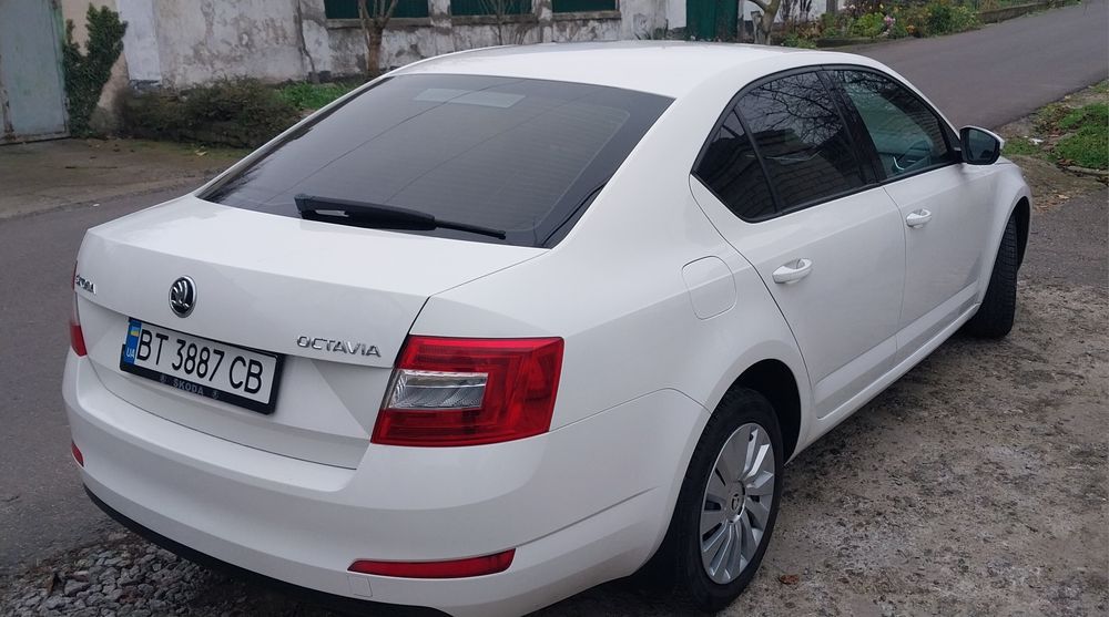 Skoda Octavia A7 Шкода Октавія А7