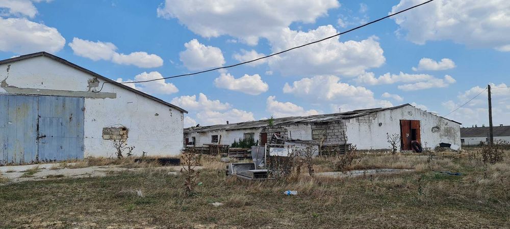 Продаж тваринницького комплексу. 5000 кв.м. 11 га.