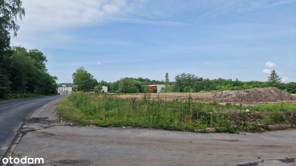 Działka przemyslowa pod hale produkcyjną magazynową 200zł/m2 TRZEBINIA - Widok 2