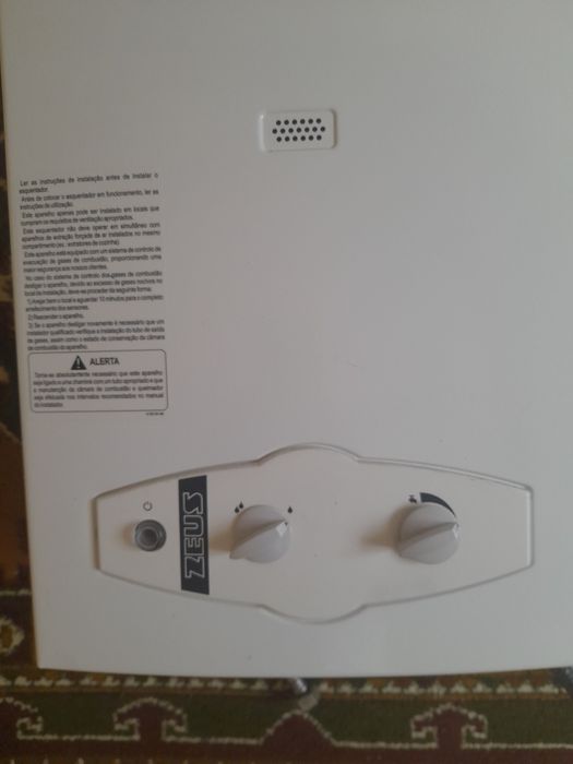 Esquentador Zeus inteligente