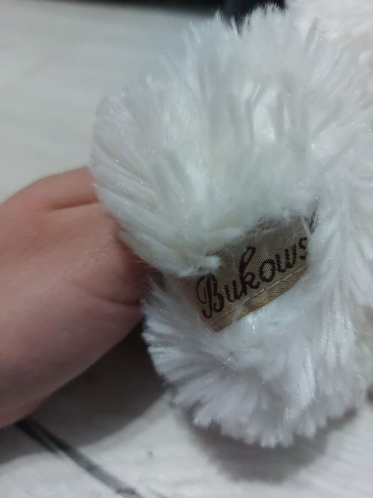 Miś biały Bukowski