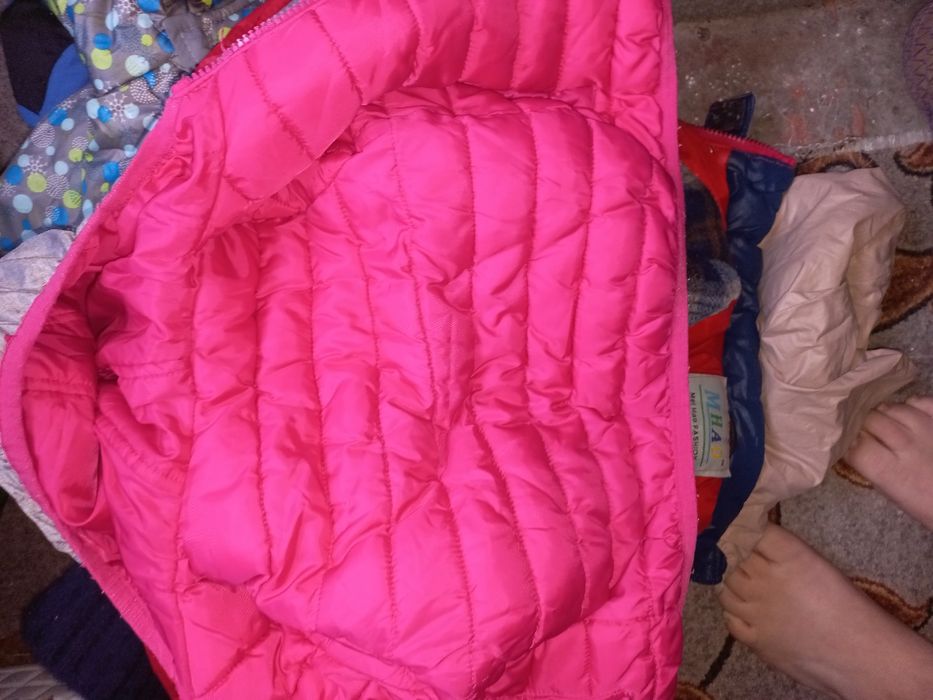 Бесплатно отдам Бесплатно