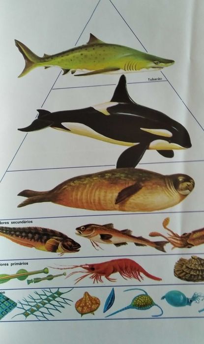 A Enciclopédia Salvat de Fauna de  Félix Rodríguez de la Fuente