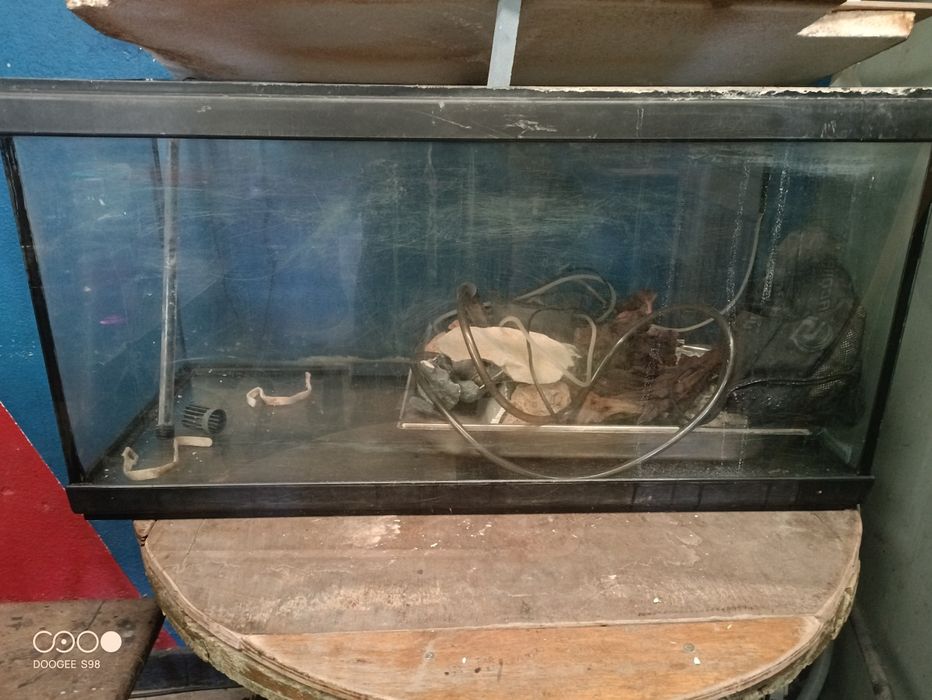 Aquario grande  bom preço