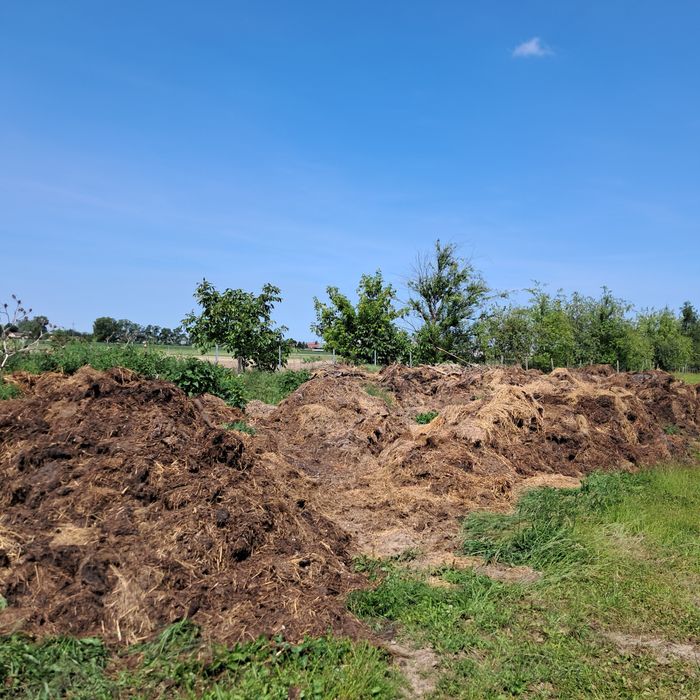 Kompost, obornik świeży za 100zł