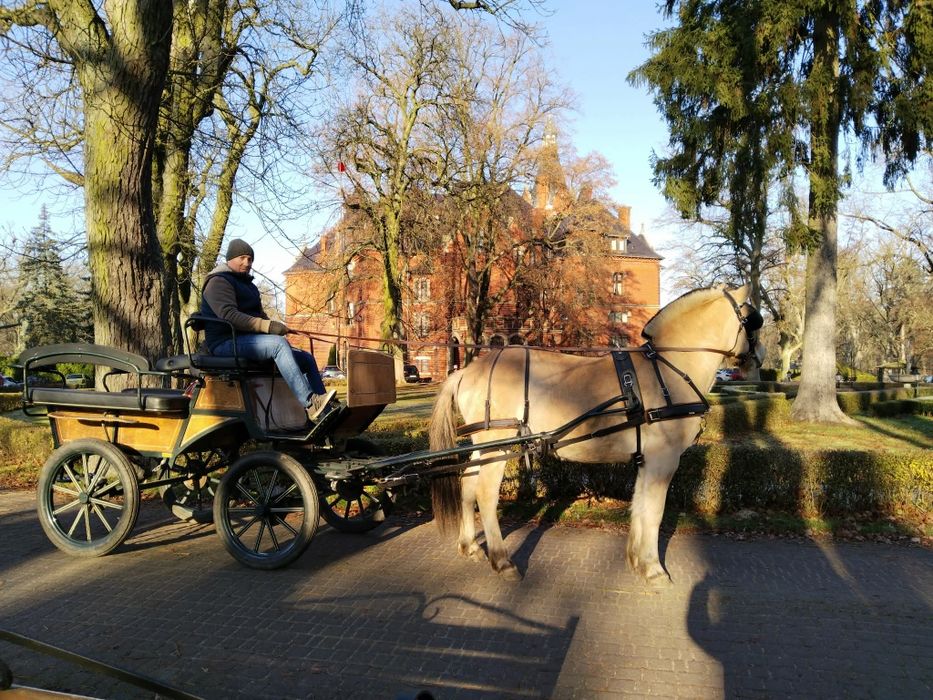 Bryczka wagonetka, sprzedam zamienię
