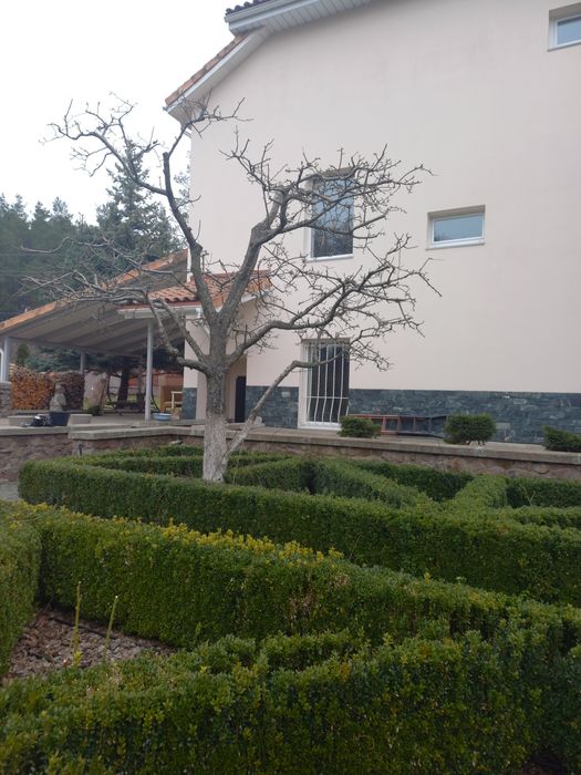 ОБРІЗКА, ОБРОБКА  плодового саду  Васильків, р-н