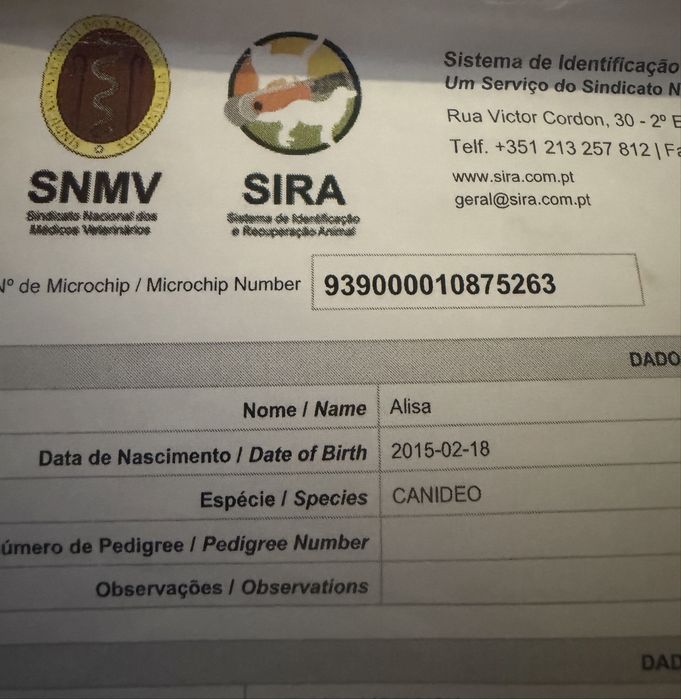Menina pequena preta