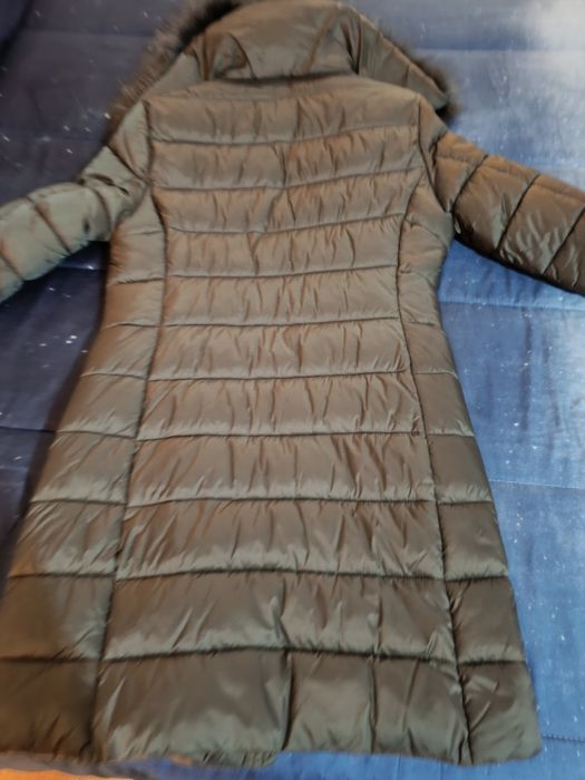 Kispo verde com pelo