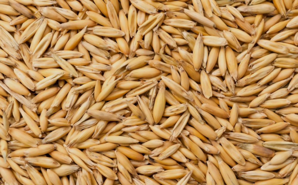 Owies opałowy suchy