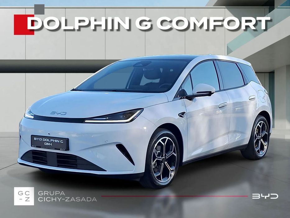 BYD Pozostałe BYD