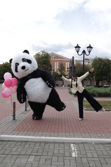 Заказ медведя, поздравление, панда привітання день народження аніматор