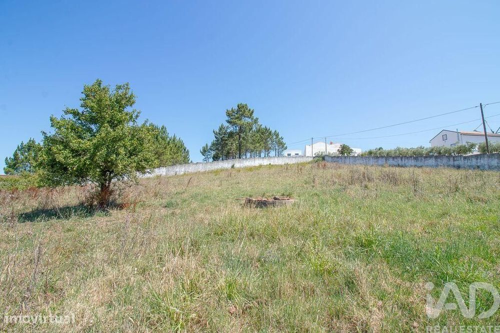 Casa / Villa T3 em Lamas e Cercal de 430 m2
