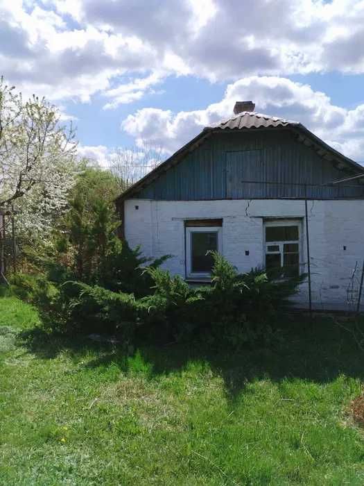 D1C  Продам дом в Люботине